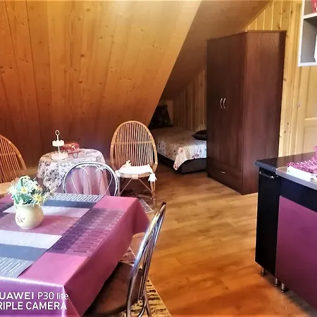 Pansiyon Privat U Jany Ždiar